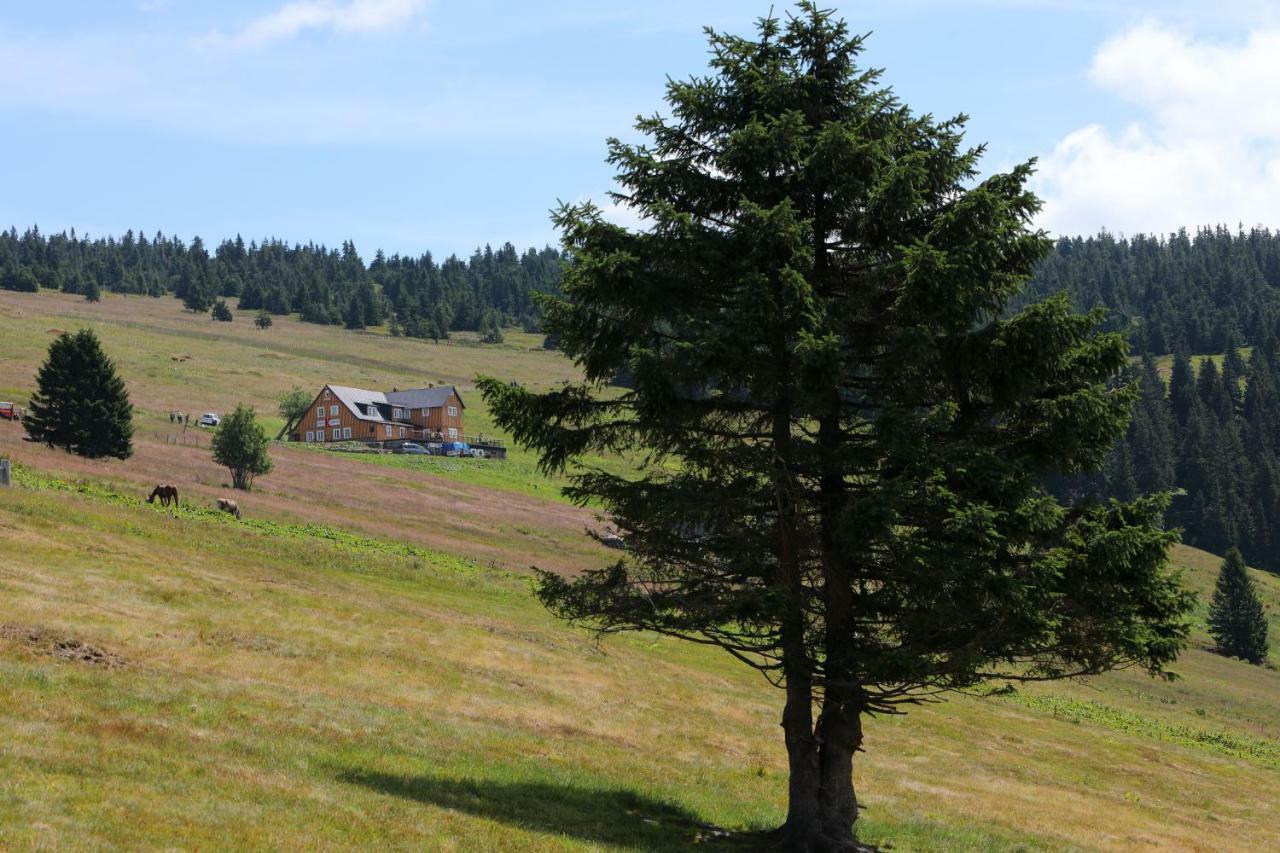 Hotel Bouda Klinovka Špindlerŭv Mlýn Esterno foto