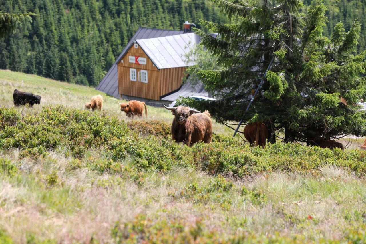 Hotel Bouda Klinovka Špindlerŭv Mlýn Esterno foto