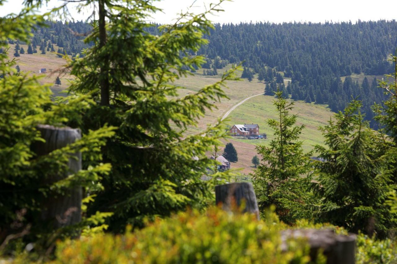 Hotel Bouda Klinovka Špindlerŭv Mlýn Esterno foto
