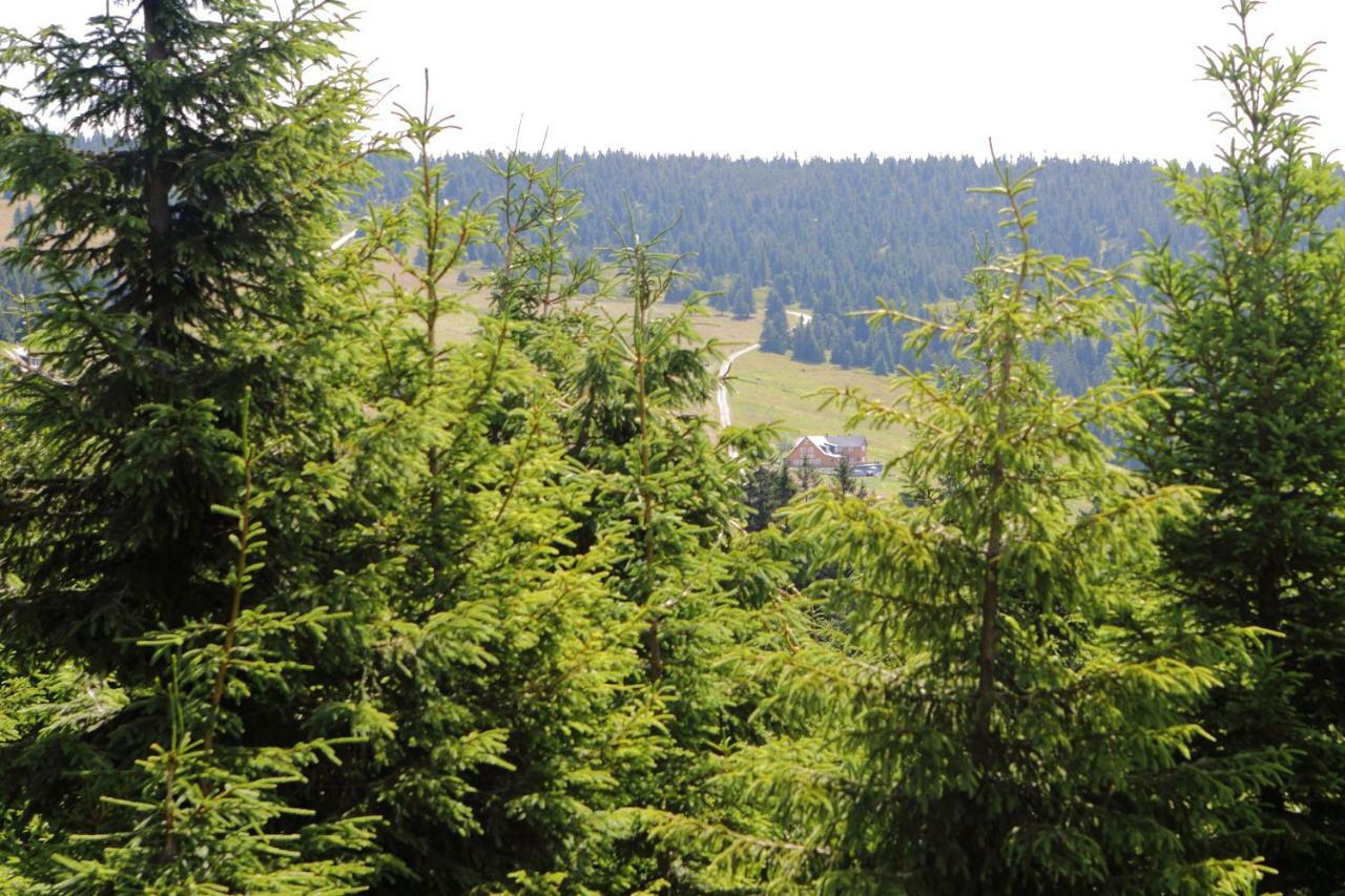 Hotel Bouda Klinovka Špindlerŭv Mlýn Esterno foto