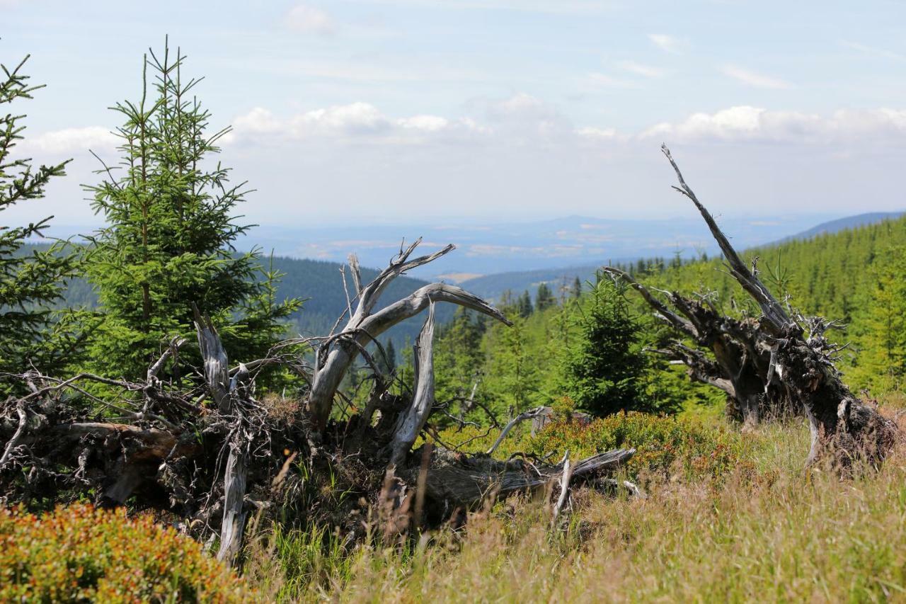 Hotel Bouda Klinovka Špindlerŭv Mlýn Esterno foto